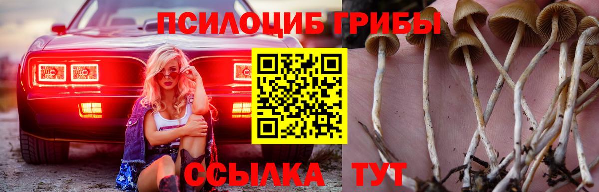 Чернушка  Псилоцибиновые грибы мицелий  Вход с VPN  Псилоцибиновые грибы Magic Shrooms 